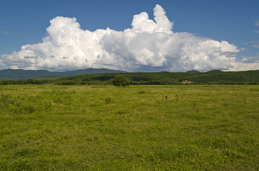 Similar image 770861