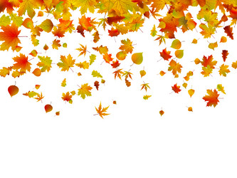 Similar image 770869