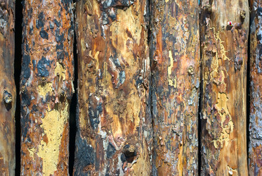 Similar image 770884