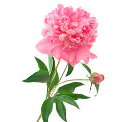 Similar image 770904