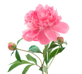 Similar image 770905