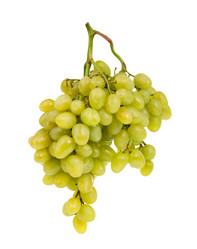 Similar image 770930