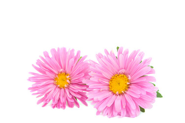 Similar image 771023