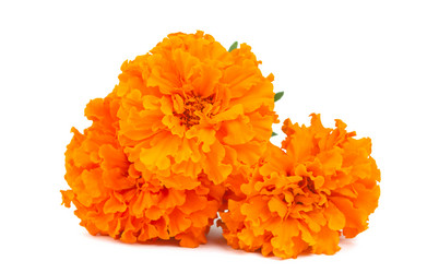 Similar image 771028