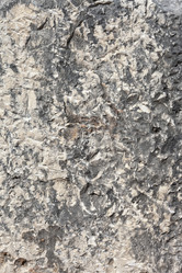 Similar image 771029