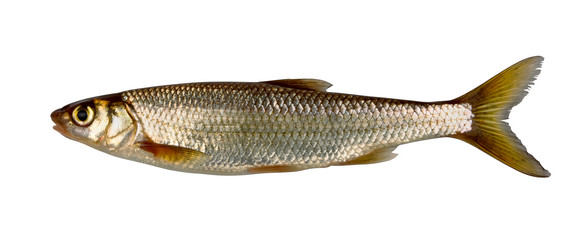 Similar image 771030