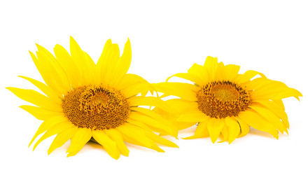 Similar image 771036