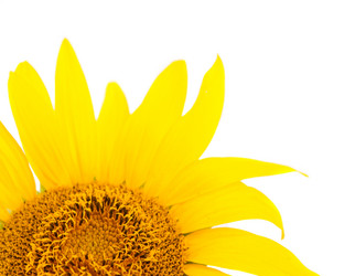 Similar image 771047