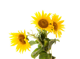 Similar image 771054