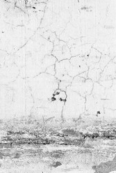 Similar image 771057