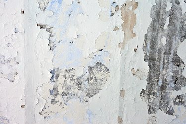 Similar image 771059