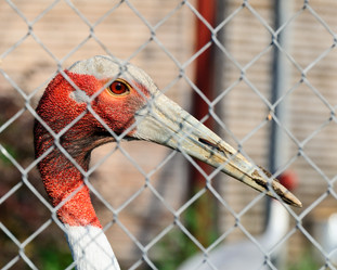 Similar image 771072