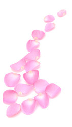 Similar image 771073