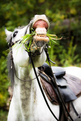 Similar image 771086