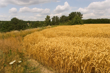 Similar image 771089