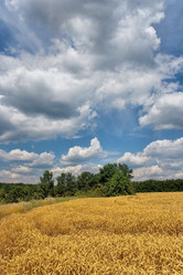 Similar image 771091