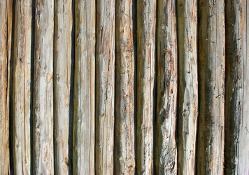 Similar image 771096