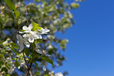 Similar image 771119