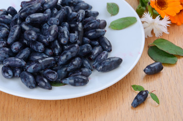 Similar image 771130