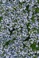 Similar image 771140