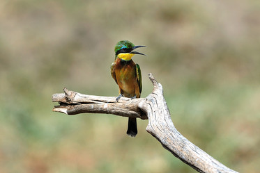 Similar image 771143