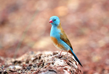 Similar image 771154