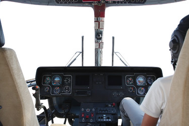 Similar image 771175