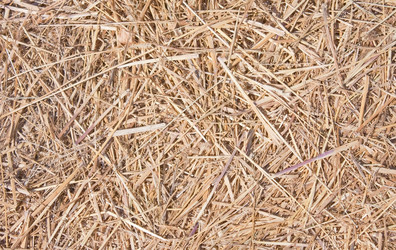 Similar image 771178