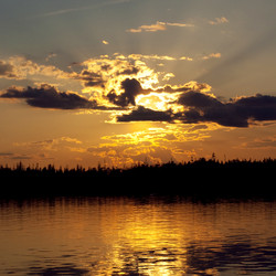 Similar image 771224