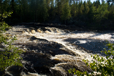 Similar image 771231