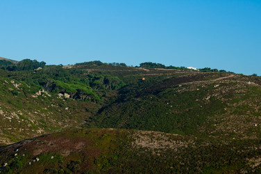 Similar image 771246