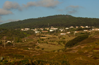 Similar image 771252