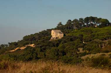 Similar image 771255