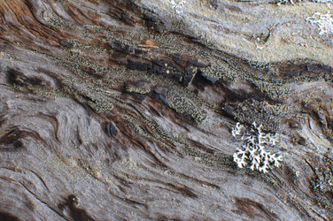 Similar image 771269