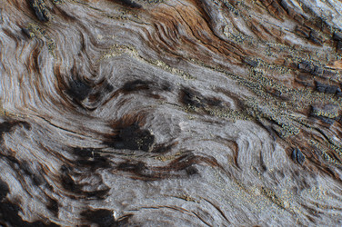 Similar image 771276