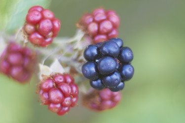 Similar image 771372