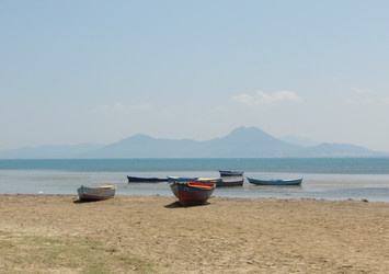 Similar image 771381