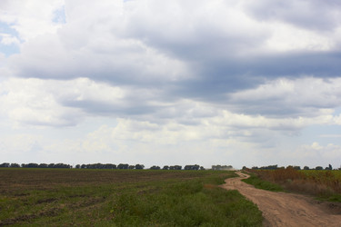 Similar image 771397