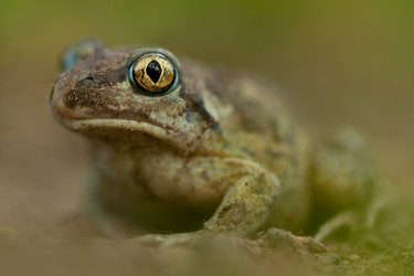 Similar image 771426