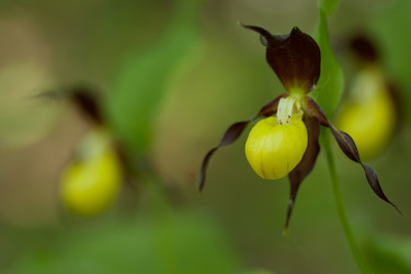 Similar image 771430