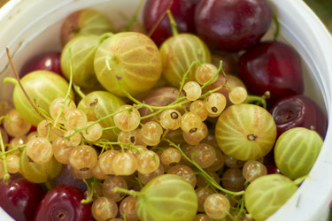 Similar image 771439