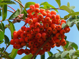 Similar image 771450