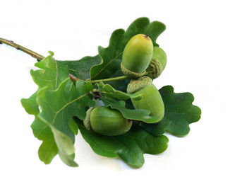 Similar image 771475