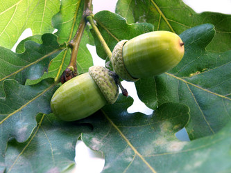 Similar image 771476