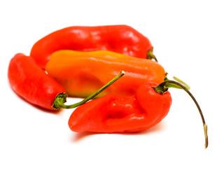 Similar image 771479