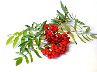 Similar image 771481