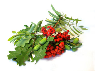 Similar image 771486