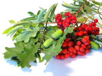 Similar image 771488