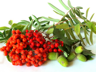 Similar image 771489