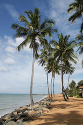 Similar image 771503